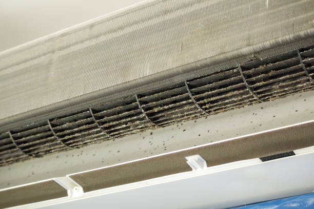 Best Home Air Vent Cleaning  in Dillsburg, PA